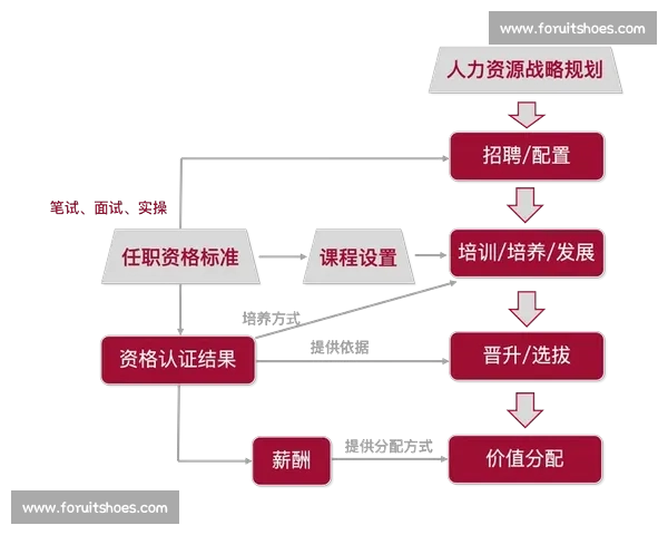 体育管理绩效评估体系优化与应用策略研究